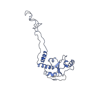 21633_6wde_d_v1-2
Cryo-EM of elongating ribosome with EF-Tu*GTP elucidates tRNA proofreading (Cognate Structure V-B)