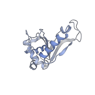 21633_6wde_e_v1-2
Cryo-EM of elongating ribosome with EF-Tu*GTP elucidates tRNA proofreading (Cognate Structure V-B)