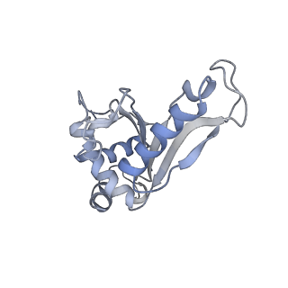 21633_6wde_e_v1-3
Cryo-EM of elongating ribosome with EF-Tu*GTP elucidates tRNA proofreading (Cognate Structure V-B)