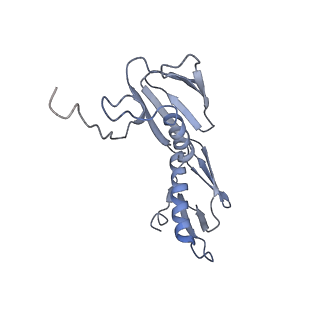 21633_6wde_f_v1-2
Cryo-EM of elongating ribosome with EF-Tu*GTP elucidates tRNA proofreading (Cognate Structure V-B)