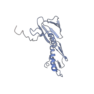 21633_6wde_f_v1-3
Cryo-EM of elongating ribosome with EF-Tu*GTP elucidates tRNA proofreading (Cognate Structure V-B)