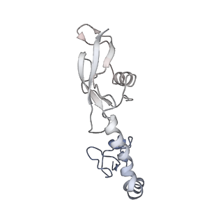 21633_6wde_g_v1-2
Cryo-EM of elongating ribosome with EF-Tu*GTP elucidates tRNA proofreading (Cognate Structure V-B)