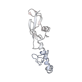 21633_6wde_g_v1-3
Cryo-EM of elongating ribosome with EF-Tu*GTP elucidates tRNA proofreading (Cognate Structure V-B)