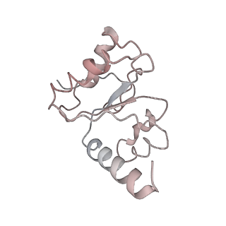 21633_6wde_h_v1-2
Cryo-EM of elongating ribosome with EF-Tu*GTP elucidates tRNA proofreading (Cognate Structure V-B)