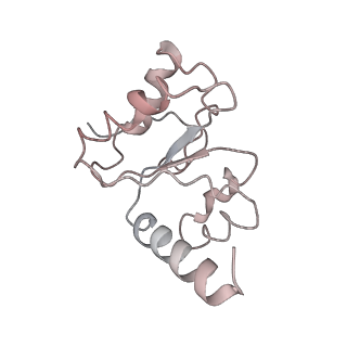 21633_6wde_h_v1-3
Cryo-EM of elongating ribosome with EF-Tu*GTP elucidates tRNA proofreading (Cognate Structure V-B)