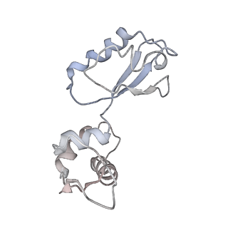 21633_6wde_i_v1-2
Cryo-EM of elongating ribosome with EF-Tu*GTP elucidates tRNA proofreading (Cognate Structure V-B)