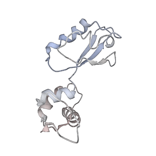 21633_6wde_i_v1-3
Cryo-EM of elongating ribosome with EF-Tu*GTP elucidates tRNA proofreading (Cognate Structure V-B)