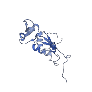 21633_6wde_j_v1-2
Cryo-EM of elongating ribosome with EF-Tu*GTP elucidates tRNA proofreading (Cognate Structure V-B)