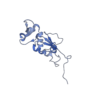 21633_6wde_j_v1-3
Cryo-EM of elongating ribosome with EF-Tu*GTP elucidates tRNA proofreading (Cognate Structure V-B)