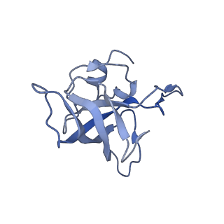 21633_6wde_k_v1-3
Cryo-EM of elongating ribosome with EF-Tu*GTP elucidates tRNA proofreading (Cognate Structure V-B)