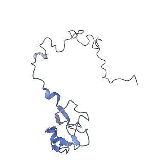 21633_6wde_l_v1-3
Cryo-EM of elongating ribosome with EF-Tu*GTP elucidates tRNA proofreading (Cognate Structure V-B)