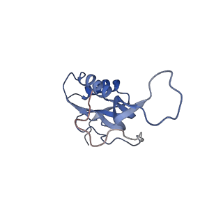 21633_6wde_m_v1-2
Cryo-EM of elongating ribosome with EF-Tu*GTP elucidates tRNA proofreading (Cognate Structure V-B)