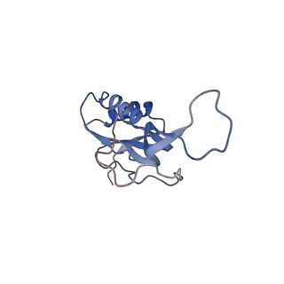 21633_6wde_m_v1-3
Cryo-EM of elongating ribosome with EF-Tu*GTP elucidates tRNA proofreading (Cognate Structure V-B)