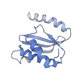 21633_6wde_o_v1-2
Cryo-EM of elongating ribosome with EF-Tu*GTP elucidates tRNA proofreading (Cognate Structure V-B)