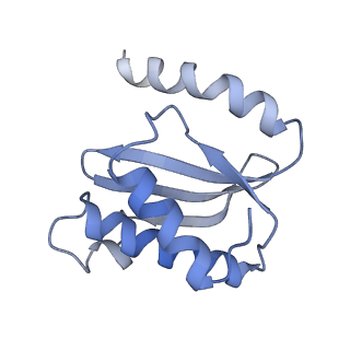 21633_6wde_o_v1-3
Cryo-EM of elongating ribosome with EF-Tu*GTP elucidates tRNA proofreading (Cognate Structure V-B)