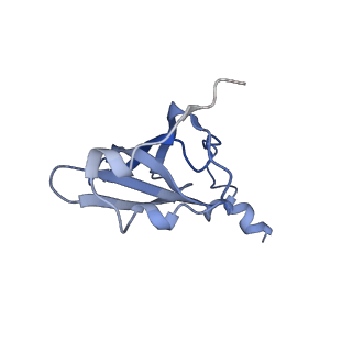 21633_6wde_p_v1-2
Cryo-EM of elongating ribosome with EF-Tu*GTP elucidates tRNA proofreading (Cognate Structure V-B)