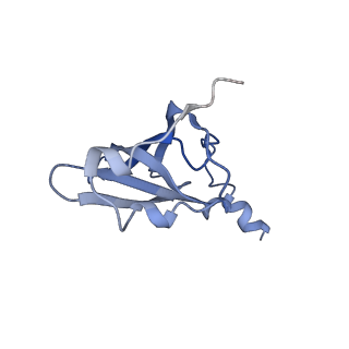 21633_6wde_p_v1-3
Cryo-EM of elongating ribosome with EF-Tu*GTP elucidates tRNA proofreading (Cognate Structure V-B)