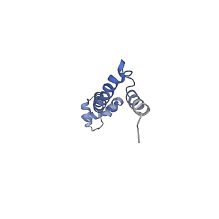 21633_6wde_q_v1-3
Cryo-EM of elongating ribosome with EF-Tu*GTP elucidates tRNA proofreading (Cognate Structure V-B)