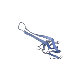 21633_6wde_r_v1-2
Cryo-EM of elongating ribosome with EF-Tu*GTP elucidates tRNA proofreading (Cognate Structure V-B)