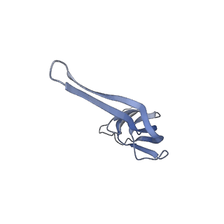 21633_6wde_r_v1-3
Cryo-EM of elongating ribosome with EF-Tu*GTP elucidates tRNA proofreading (Cognate Structure V-B)