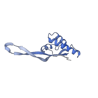 21633_6wde_s_v1-3
Cryo-EM of elongating ribosome with EF-Tu*GTP elucidates tRNA proofreading (Cognate Structure V-B)