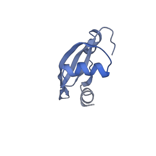 21633_6wde_t_v1-3
Cryo-EM of elongating ribosome with EF-Tu*GTP elucidates tRNA proofreading (Cognate Structure V-B)