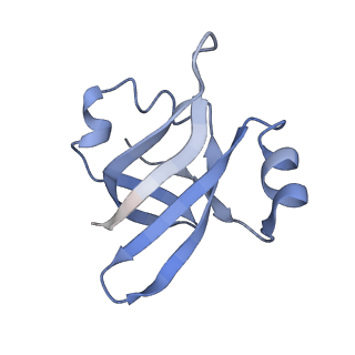 21633_6wde_v_v1-2
Cryo-EM of elongating ribosome with EF-Tu*GTP elucidates tRNA proofreading (Cognate Structure V-B)