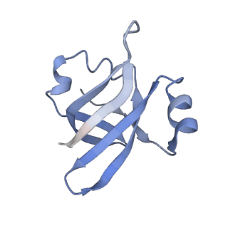 21633_6wde_v_v1-3
Cryo-EM of elongating ribosome with EF-Tu*GTP elucidates tRNA proofreading (Cognate Structure V-B)