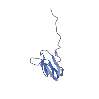 21633_6wde_w_v1-3
Cryo-EM of elongating ribosome with EF-Tu*GTP elucidates tRNA proofreading (Cognate Structure V-B)