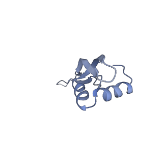 21633_6wde_x_v1-2
Cryo-EM of elongating ribosome with EF-Tu*GTP elucidates tRNA proofreading (Cognate Structure V-B)