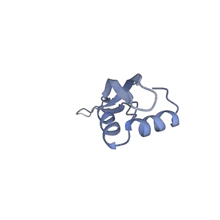 21633_6wde_x_v1-3
Cryo-EM of elongating ribosome with EF-Tu*GTP elucidates tRNA proofreading (Cognate Structure V-B)