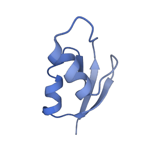 21633_6wde_z_v1-2
Cryo-EM of elongating ribosome with EF-Tu*GTP elucidates tRNA proofreading (Cognate Structure V-B)