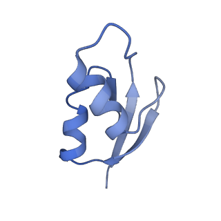 21633_6wde_z_v1-3
Cryo-EM of elongating ribosome with EF-Tu*GTP elucidates tRNA proofreading (Cognate Structure V-B)