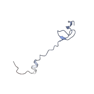 21634_6wdf_B_v1-2
Cryo-EM of elongating ribosome with EF-Tu*GTP elucidates tRNA proofreading (Cognate Structure VI-A)