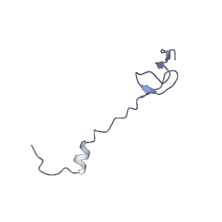 21634_6wdf_B_v2-0
Cryo-EM of elongating ribosome with EF-Tu*GTP elucidates tRNA proofreading (Cognate Structure VI-A)