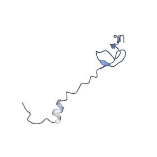 21634_6wdf_B_v2-2
Cryo-EM of elongating ribosome with EF-Tu*GTP elucidates tRNA proofreading (Cognate Structure VI-A)