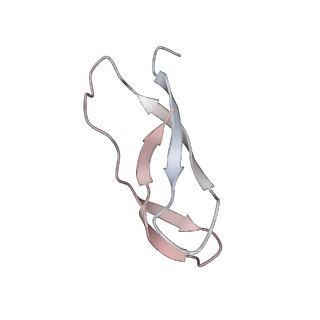 21634_6wdf_C_v2-2
Cryo-EM of elongating ribosome with EF-Tu*GTP elucidates tRNA proofreading (Cognate Structure VI-A)