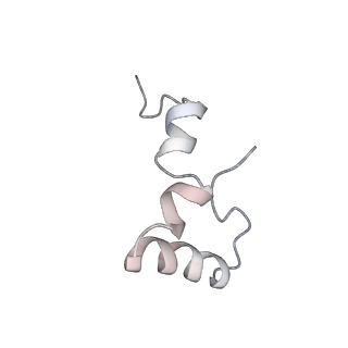 21634_6wdf_D_v1-2
Cryo-EM of elongating ribosome with EF-Tu*GTP elucidates tRNA proofreading (Cognate Structure VI-A)