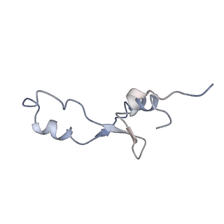 21634_6wdf_E_v1-2
Cryo-EM of elongating ribosome with EF-Tu*GTP elucidates tRNA proofreading (Cognate Structure VI-A)