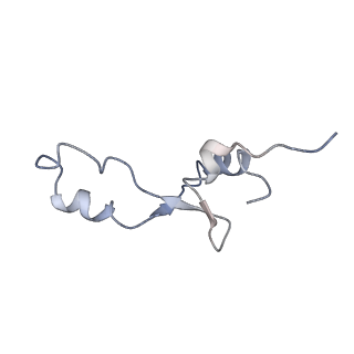 21634_6wdf_E_v2-2
Cryo-EM of elongating ribosome with EF-Tu*GTP elucidates tRNA proofreading (Cognate Structure VI-A)