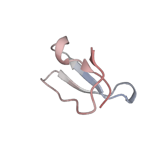 21634_6wdf_F_v2-2
Cryo-EM of elongating ribosome with EF-Tu*GTP elucidates tRNA proofreading (Cognate Structure VI-A)