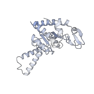 21634_6wdf_G_v1-2
Cryo-EM of elongating ribosome with EF-Tu*GTP elucidates tRNA proofreading (Cognate Structure VI-A)