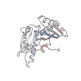 21634_6wdf_H_v1-2
Cryo-EM of elongating ribosome with EF-Tu*GTP elucidates tRNA proofreading (Cognate Structure VI-A)