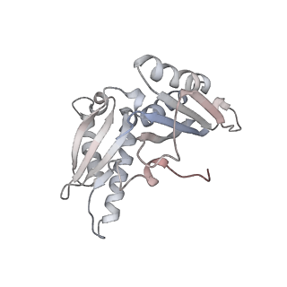 21634_6wdf_H_v2-2
Cryo-EM of elongating ribosome with EF-Tu*GTP elucidates tRNA proofreading (Cognate Structure VI-A)