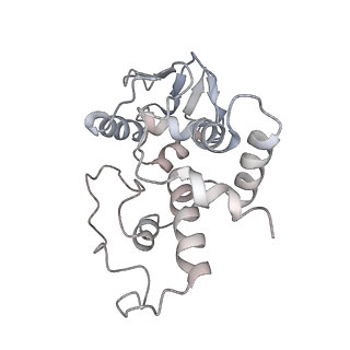 21634_6wdf_I_v1-2
Cryo-EM of elongating ribosome with EF-Tu*GTP elucidates tRNA proofreading (Cognate Structure VI-A)