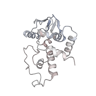 21634_6wdf_I_v2-2
Cryo-EM of elongating ribosome with EF-Tu*GTP elucidates tRNA proofreading (Cognate Structure VI-A)