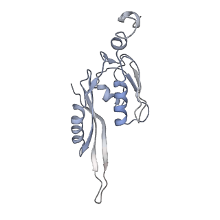21634_6wdf_J_v1-2
Cryo-EM of elongating ribosome with EF-Tu*GTP elucidates tRNA proofreading (Cognate Structure VI-A)