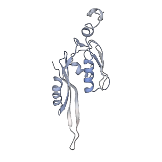 21634_6wdf_J_v2-0
Cryo-EM of elongating ribosome with EF-Tu*GTP elucidates tRNA proofreading (Cognate Structure VI-A)