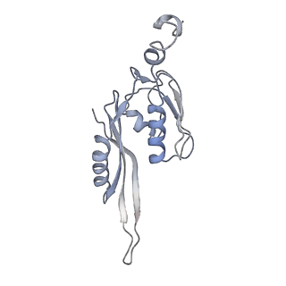 21634_6wdf_J_v2-2
Cryo-EM of elongating ribosome with EF-Tu*GTP elucidates tRNA proofreading (Cognate Structure VI-A)