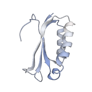 21634_6wdf_K_v1-2
Cryo-EM of elongating ribosome with EF-Tu*GTP elucidates tRNA proofreading (Cognate Structure VI-A)
